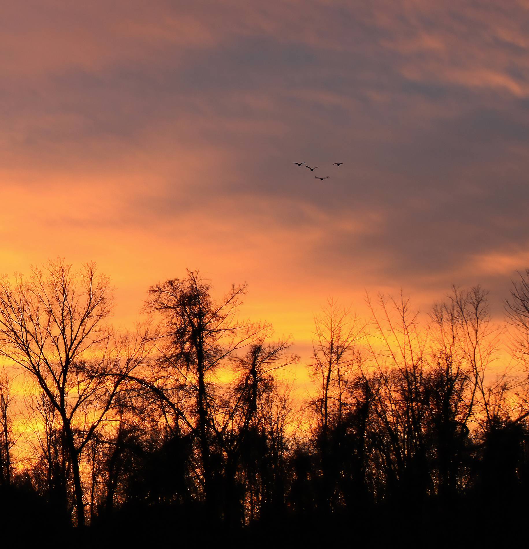sunset 12.5.22 detail.jpg