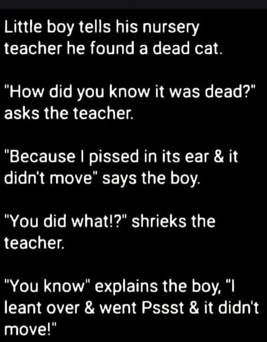 Dead Cat.webp