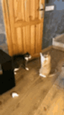 1670452195976.gif