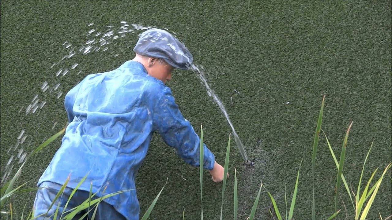 Water:Hole.jpeg