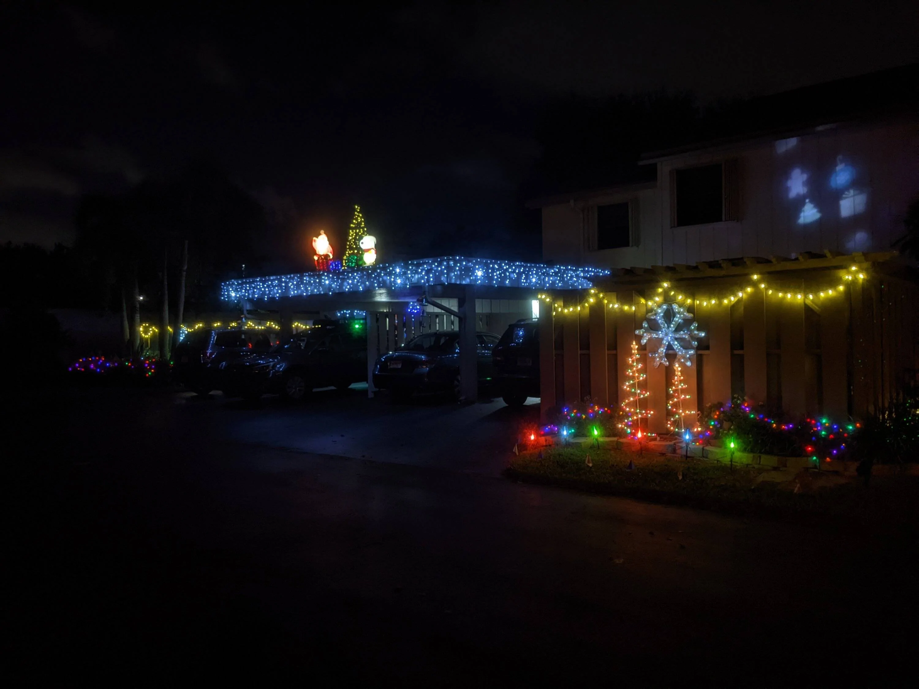 PXL_20221208_014635148.NIGHT.webp