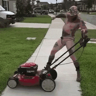 1670514830473.gif