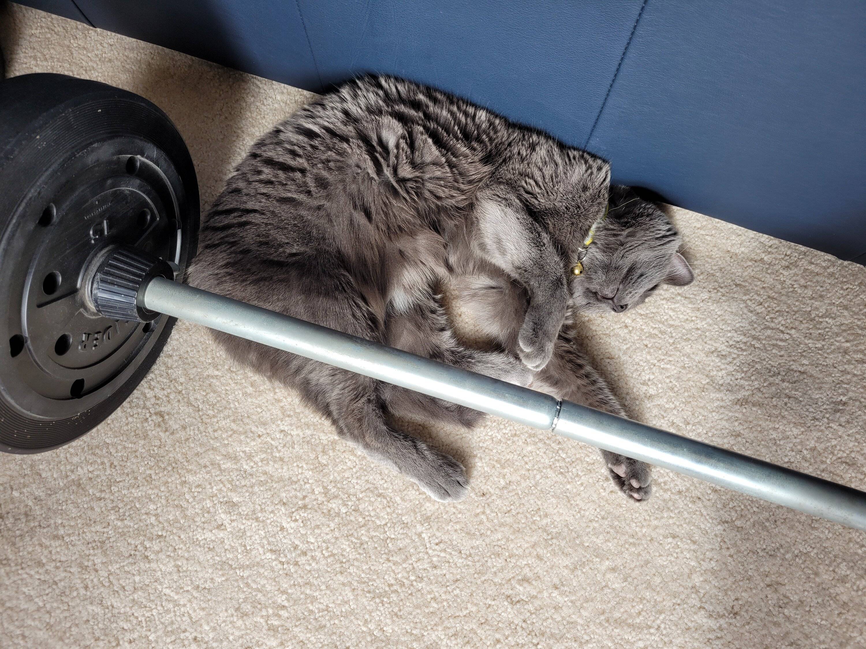 kittie.jpg