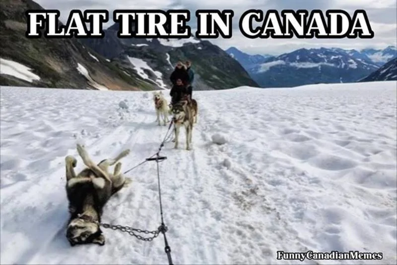 Flat tire in Canada.webp