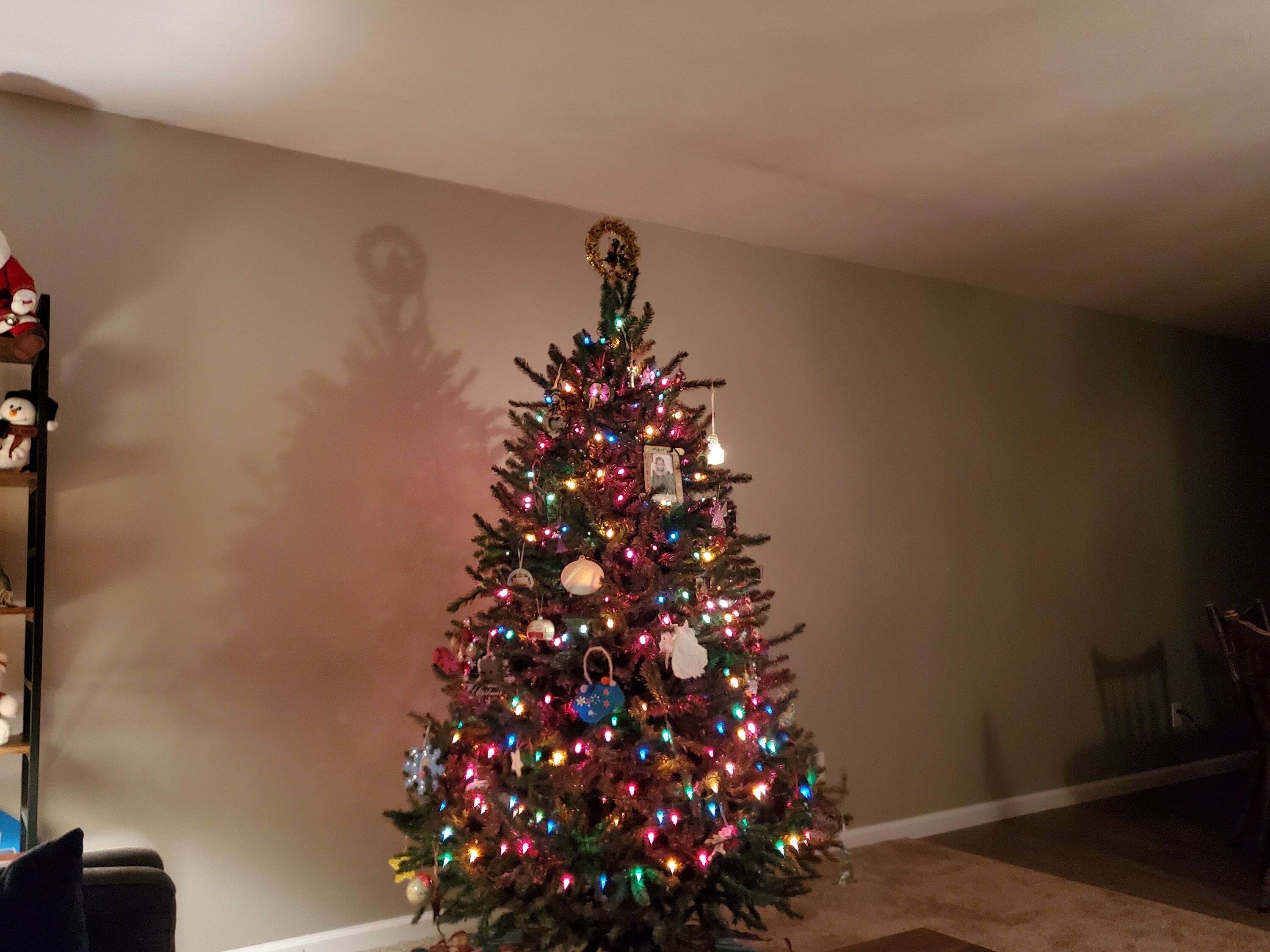 20221210_002301.jpg