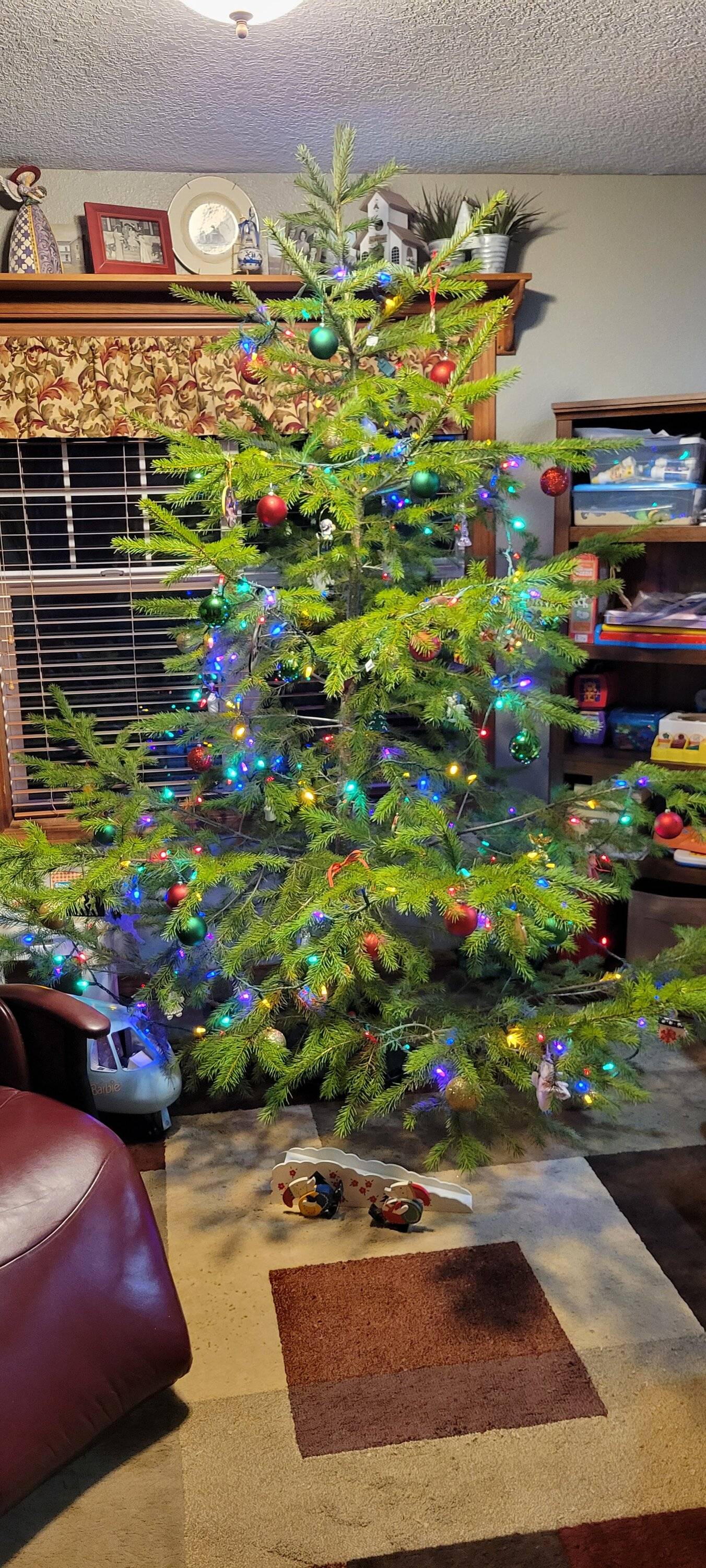 20221204_164536.jpg