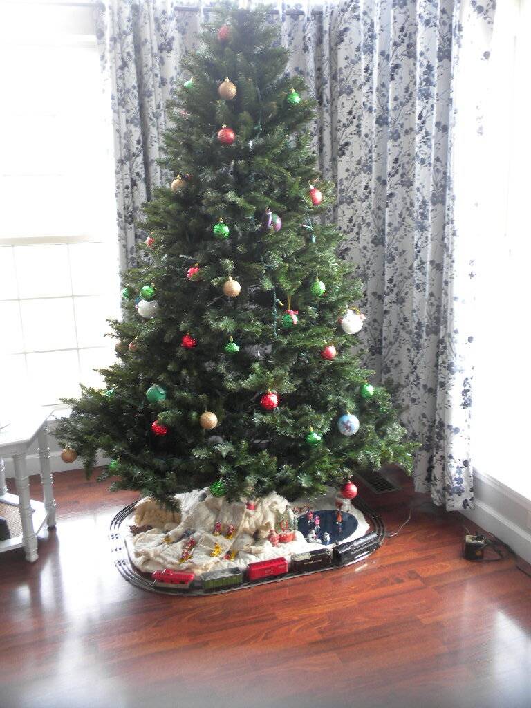 DSCN9213.JPG