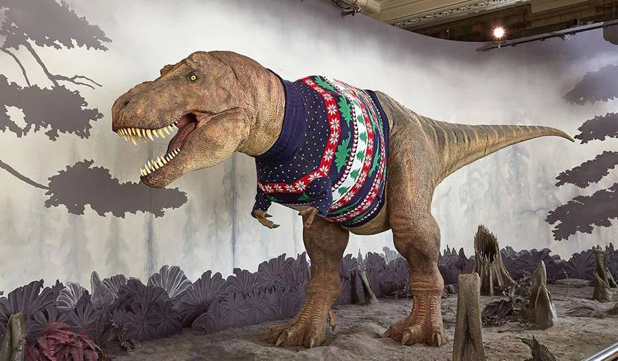 trex_jumper_lead.jpg