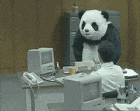 9B776D99-A467-4615-83FF-A8C33206C8B5.gif