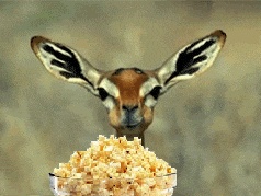 Popcorn Deer.gif