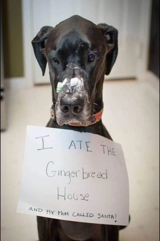 Gingerbread.webp