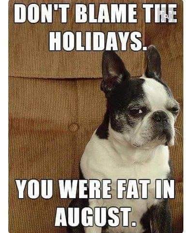 fat.jpg