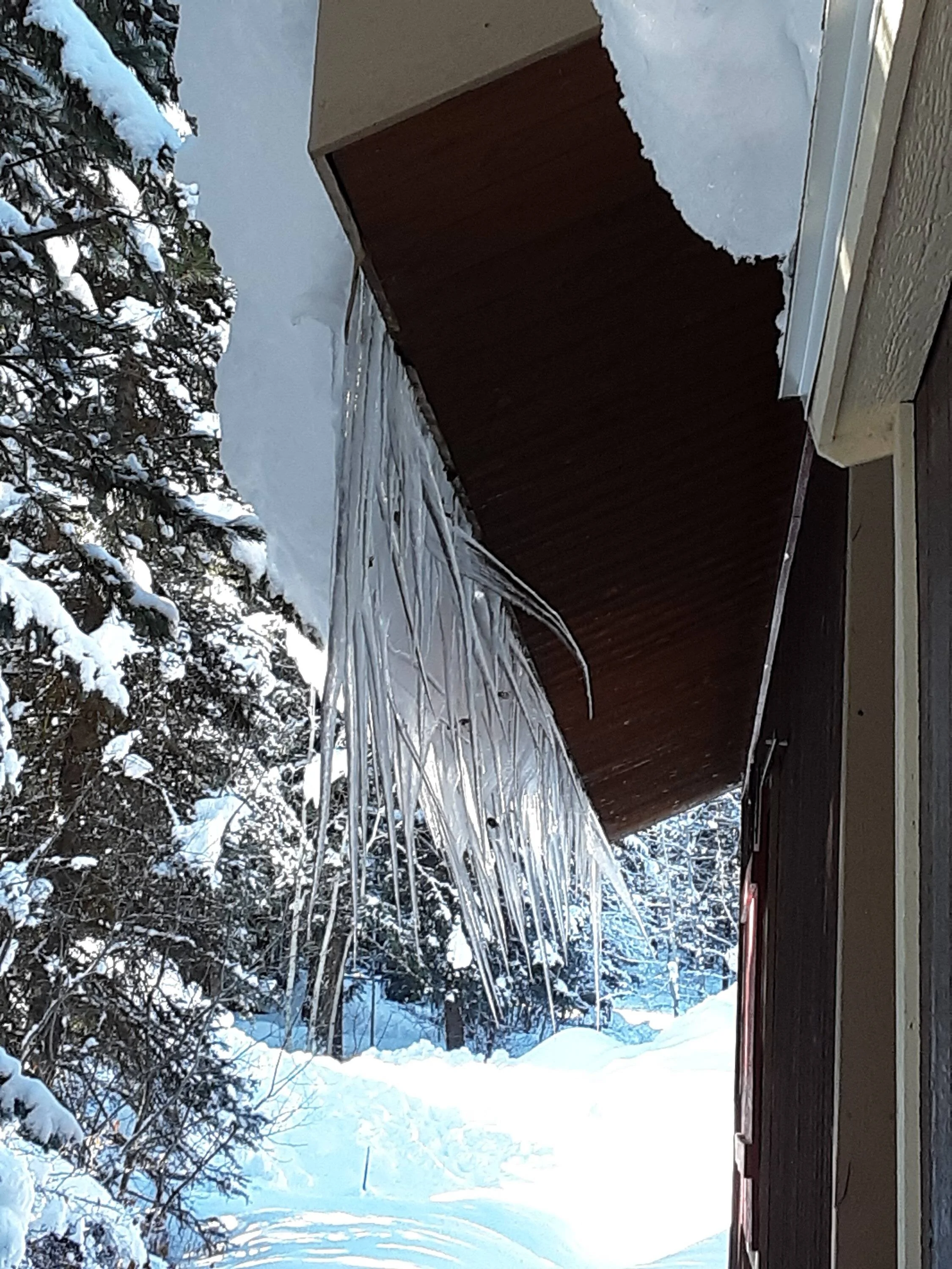 icicles.jpg
