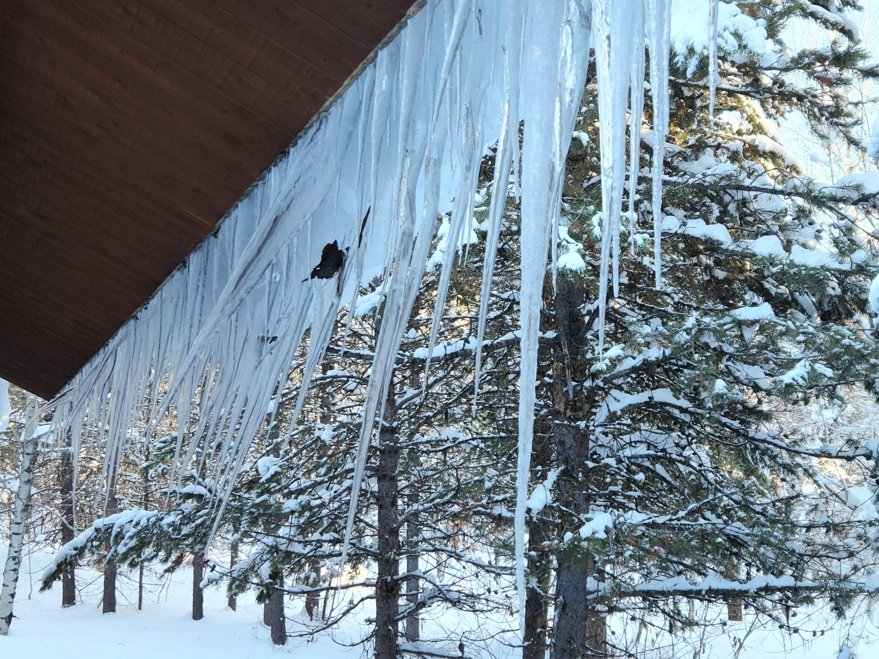 icicles 2.jpg