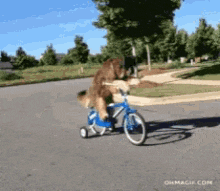 1671235873607.gif