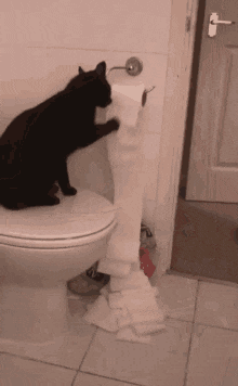 1671284794068.gif