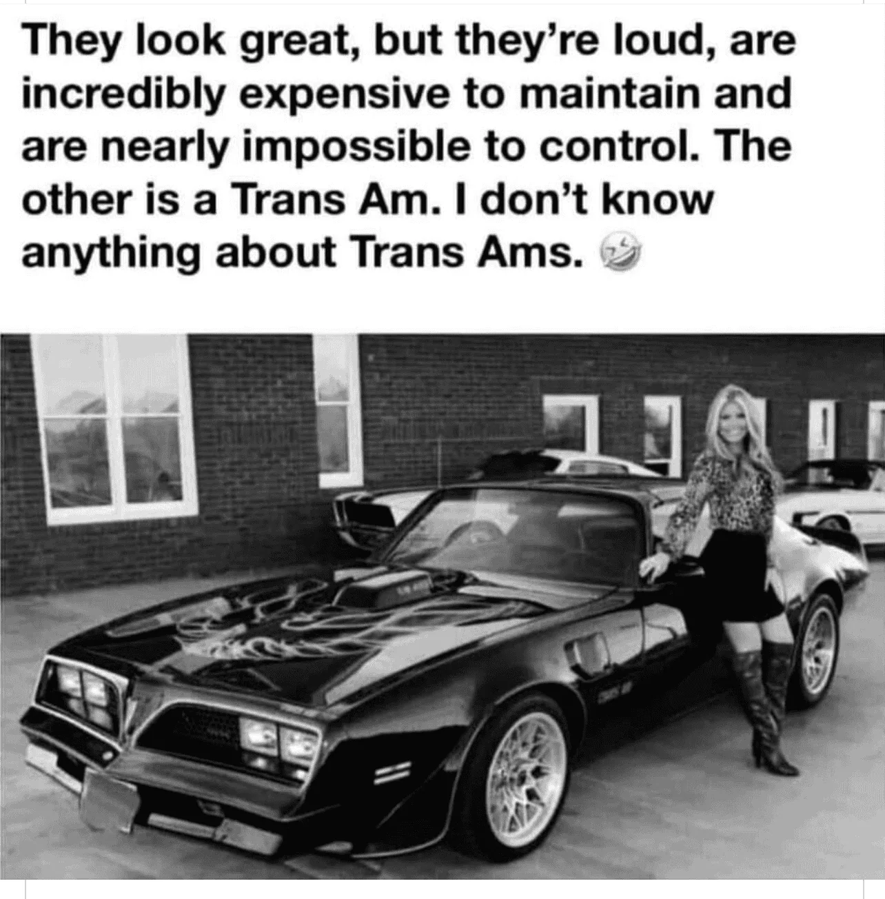 TransAm.webp