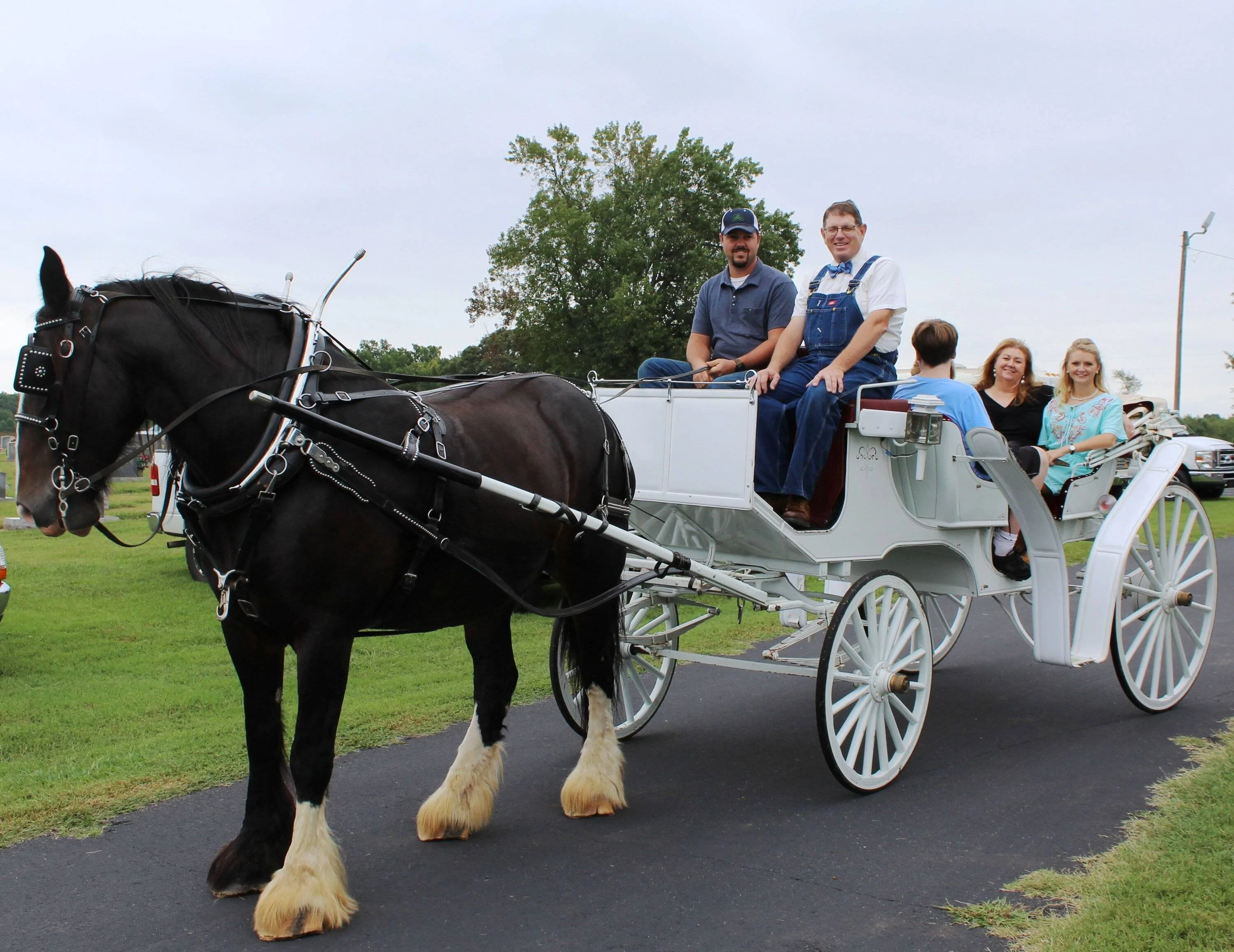 Horse & Buggy.jpeg