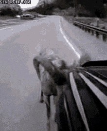 1671547578836.gif