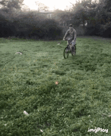 1671548255241.gif