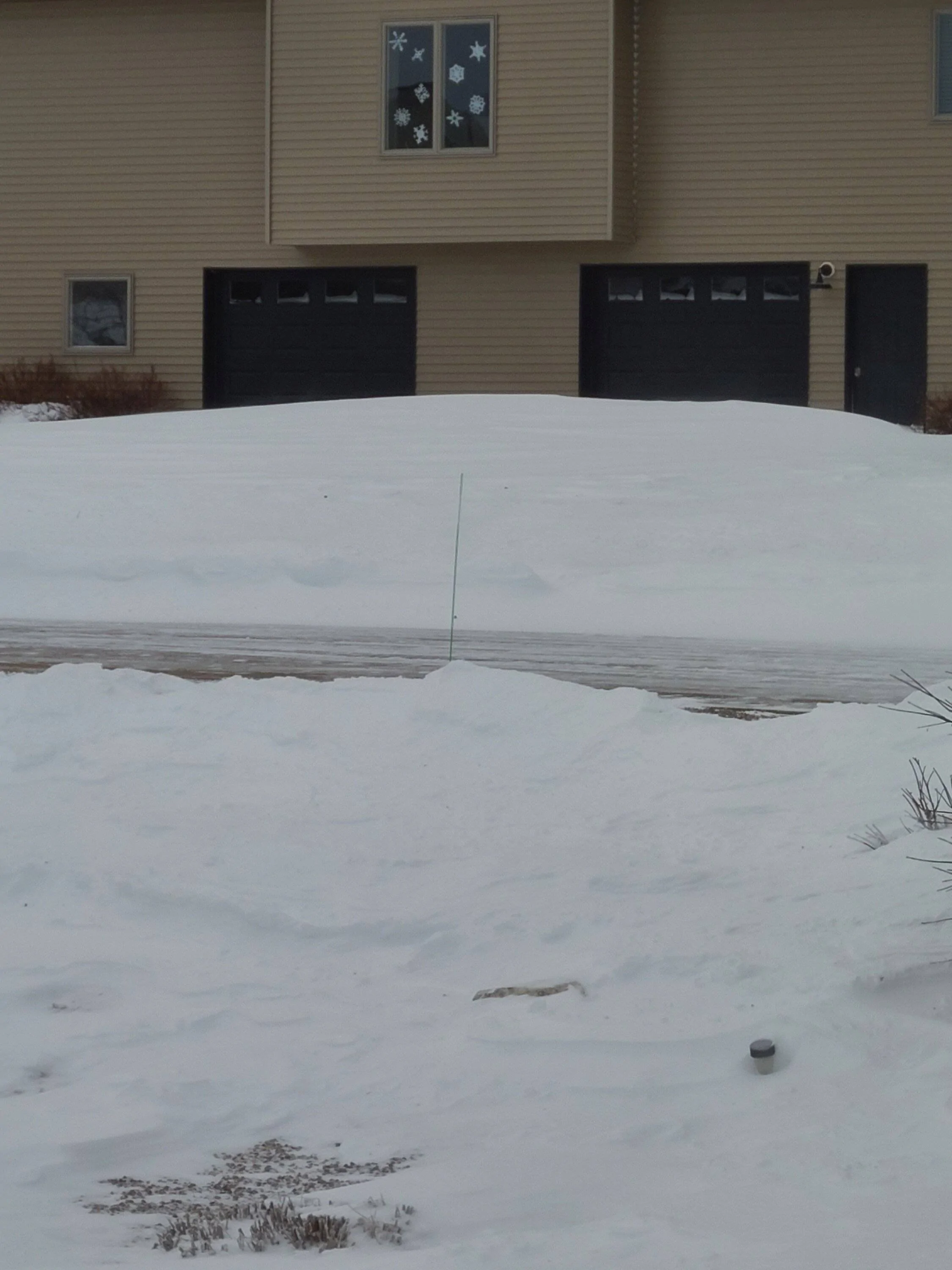 20221216_075751.webp