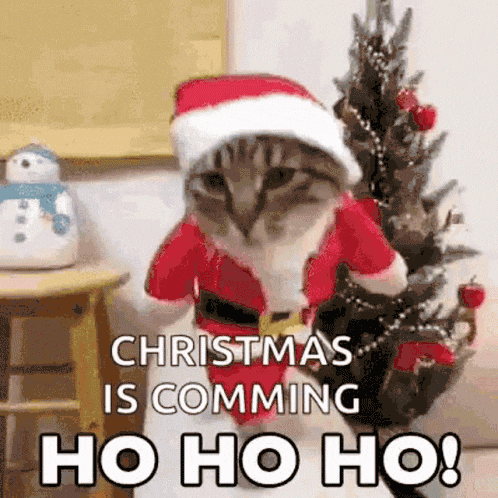 1671638522159.gif