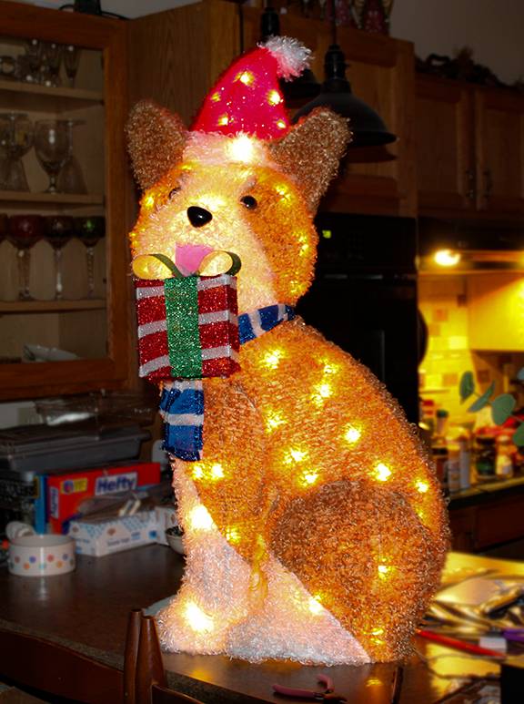 kelly ann christmas small.jpg