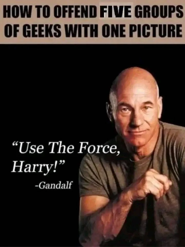 The Force.webp