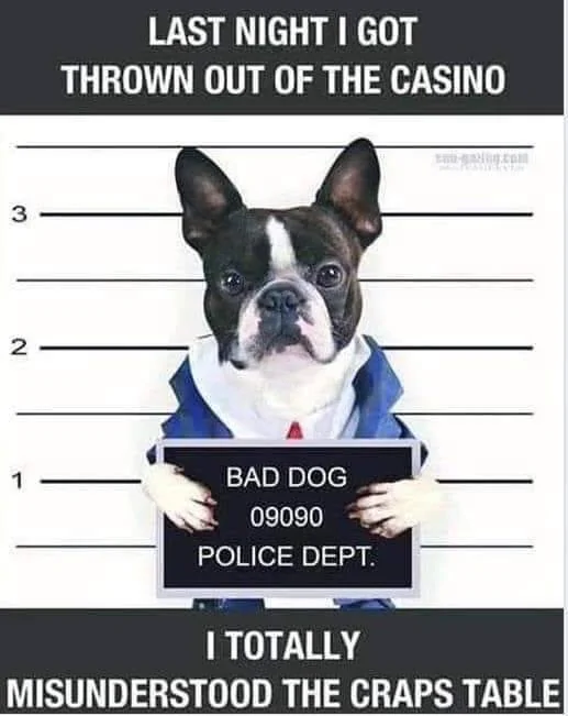 04d6dCraps-M6.webp
