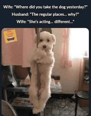 poledance.webp
