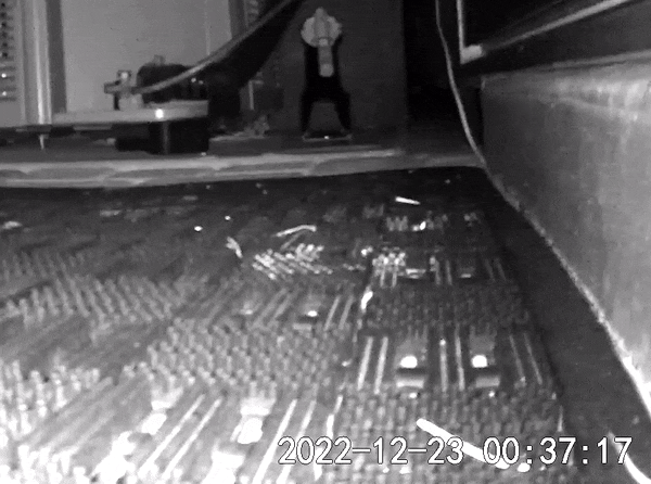 mouse1.gif