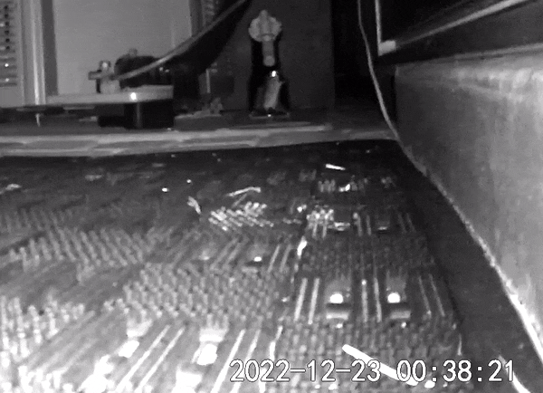 mouse2.gif