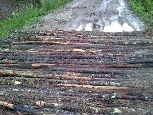 Corduroy Road.jpg