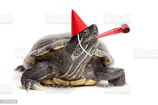 istockphoto-183140232-612x612.webp
