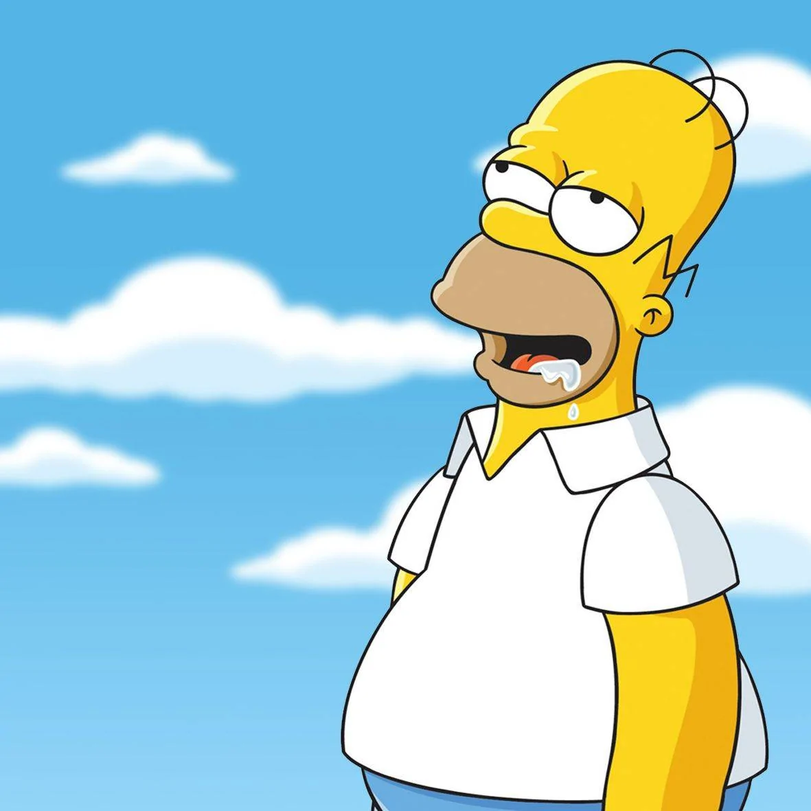 Homer Drooling.webp