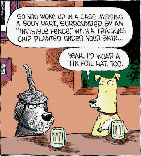 Foil Hat.jpg