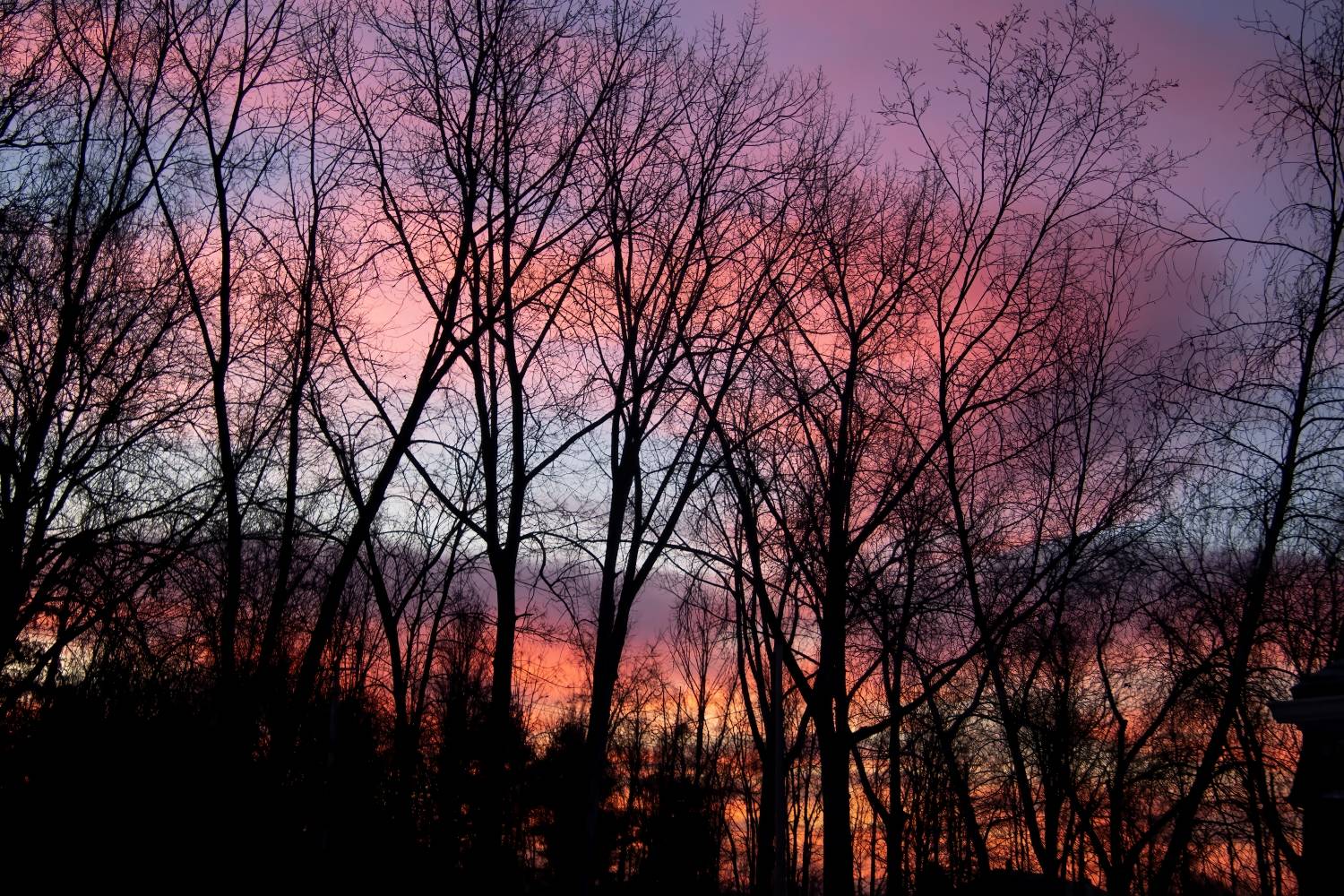 sunrise 12.29.22 small.jpg