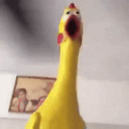 BogusShabbyHarpseal-max-1mb.gif