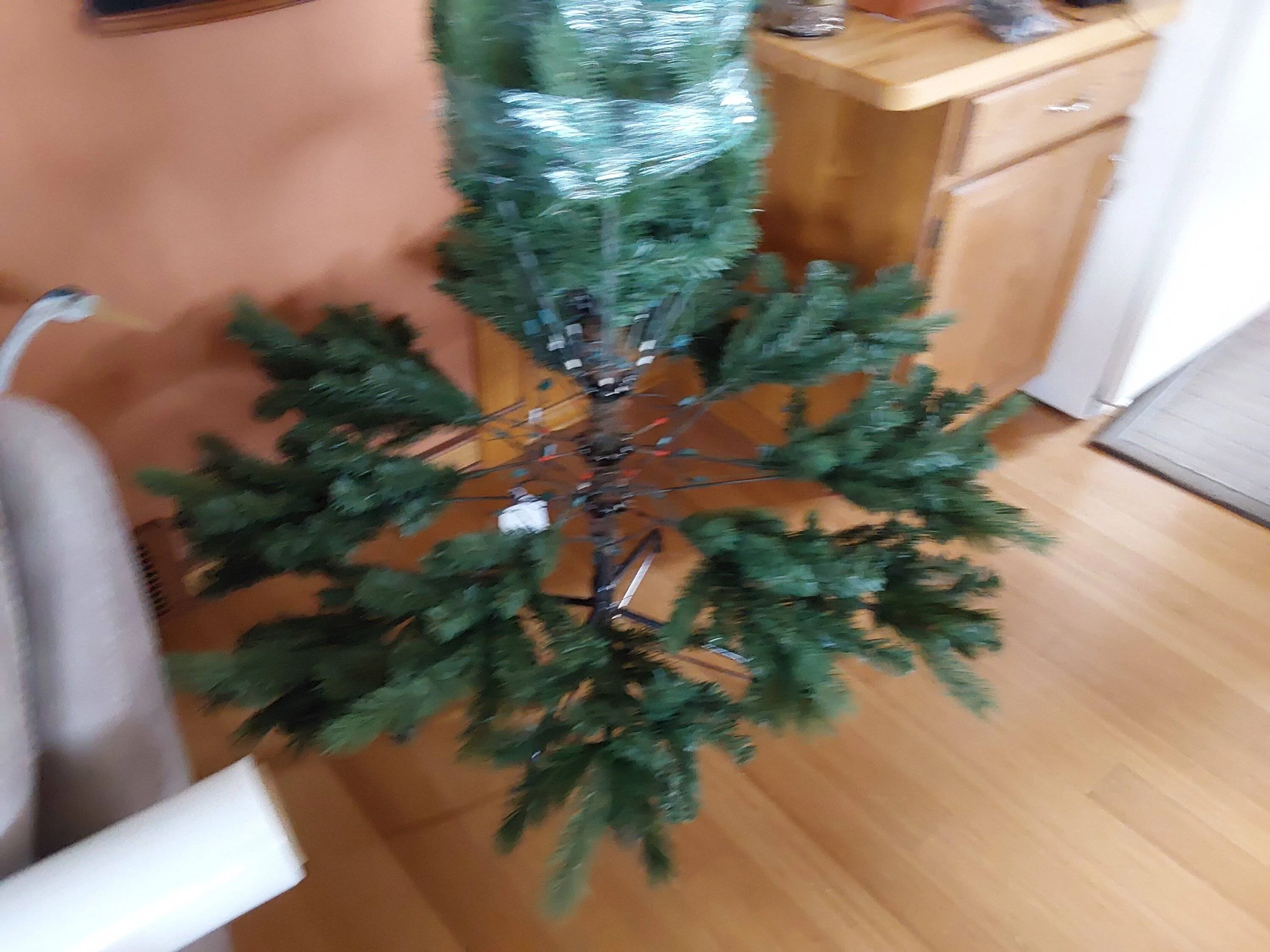 1000000181.webp