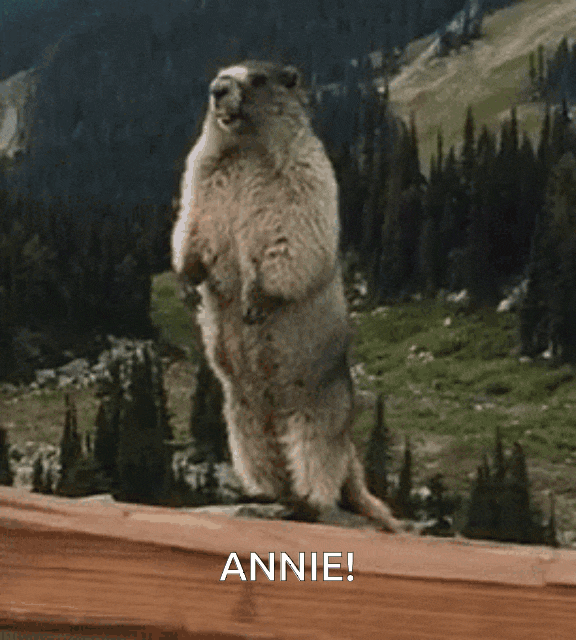 29FFEC5E-8377-43AB-9723-7D9127A8753E.gif