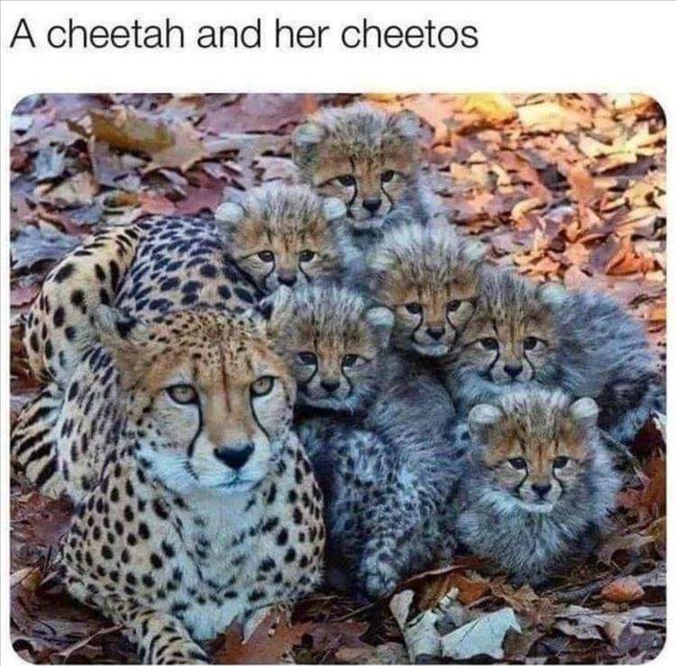 1672975395657M6.jpeg