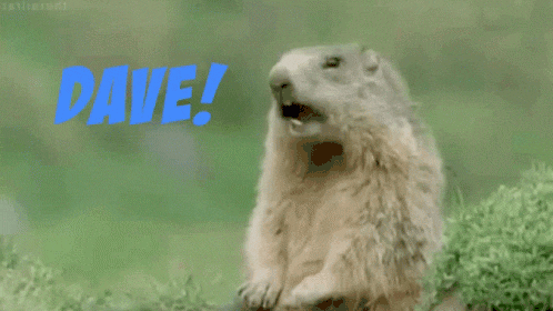 dave.gif