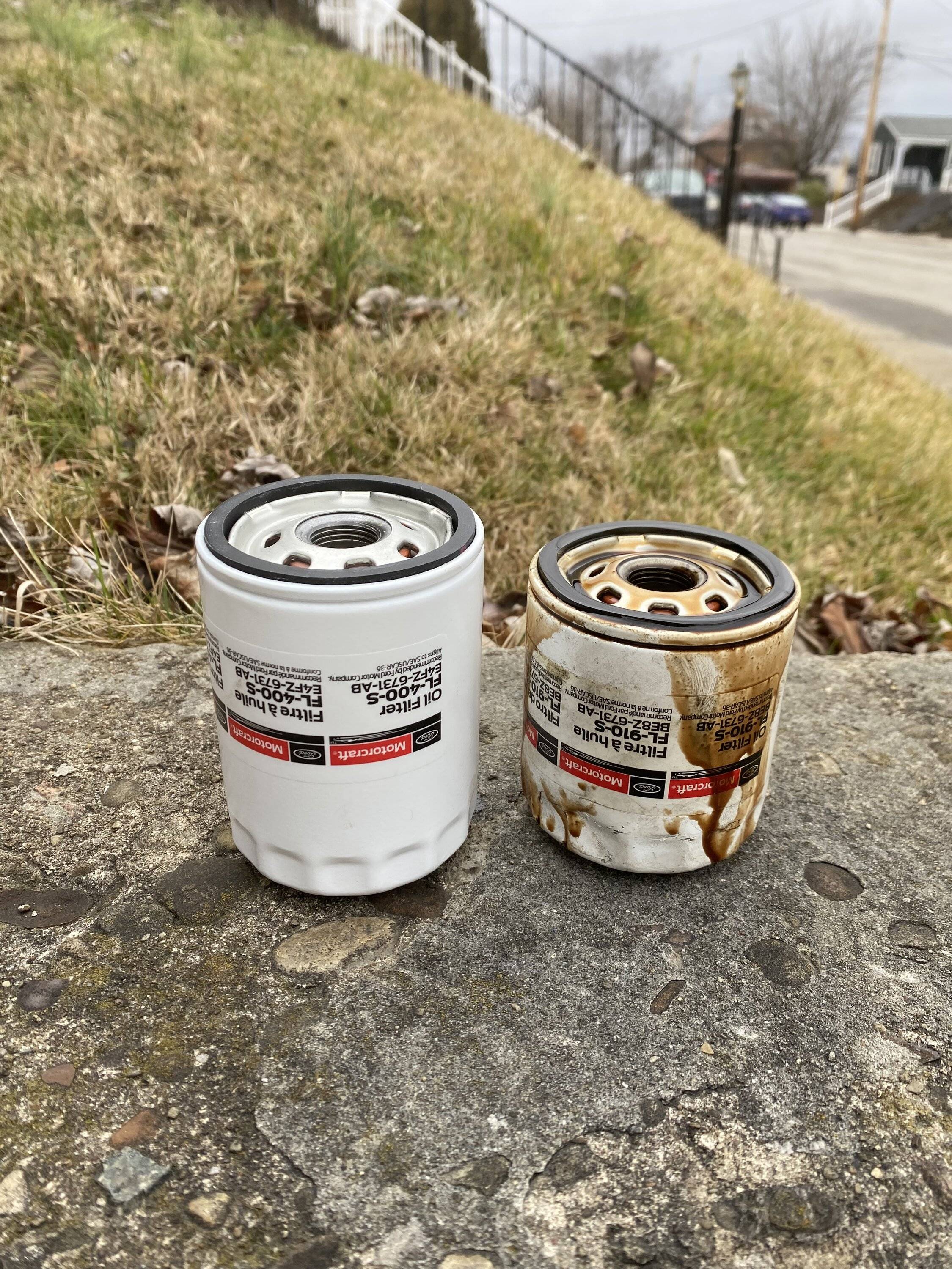 A36499D3-0A92-4673-B34D-3D0D99E66905.jpeg