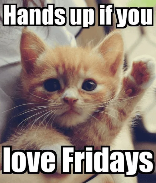 Friday.webp