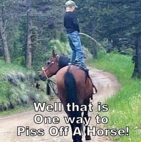 Piss off a horse.jpg