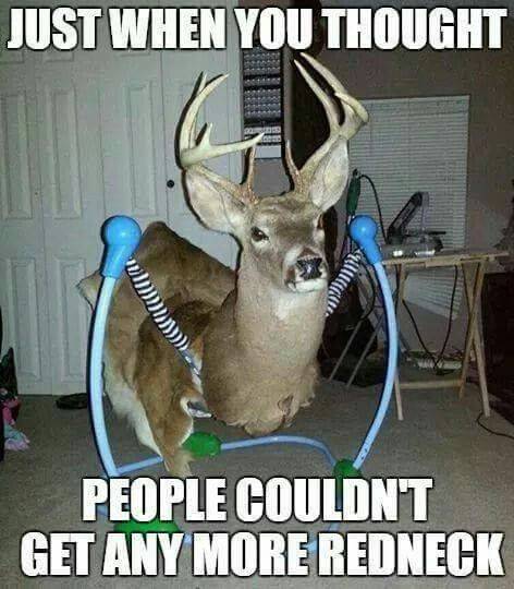 1673352453104.jpeg