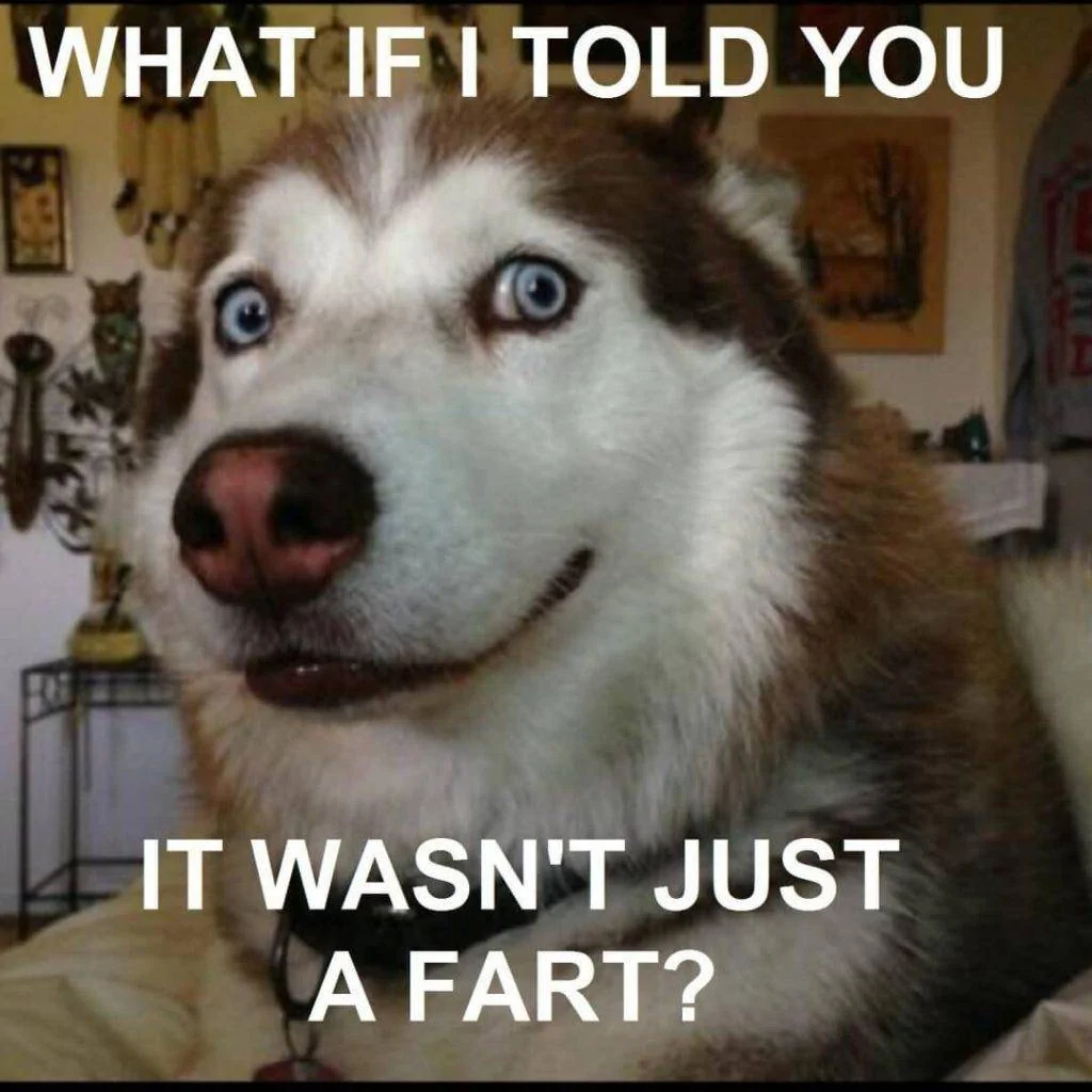 It Wasnt Just A Fart.webp