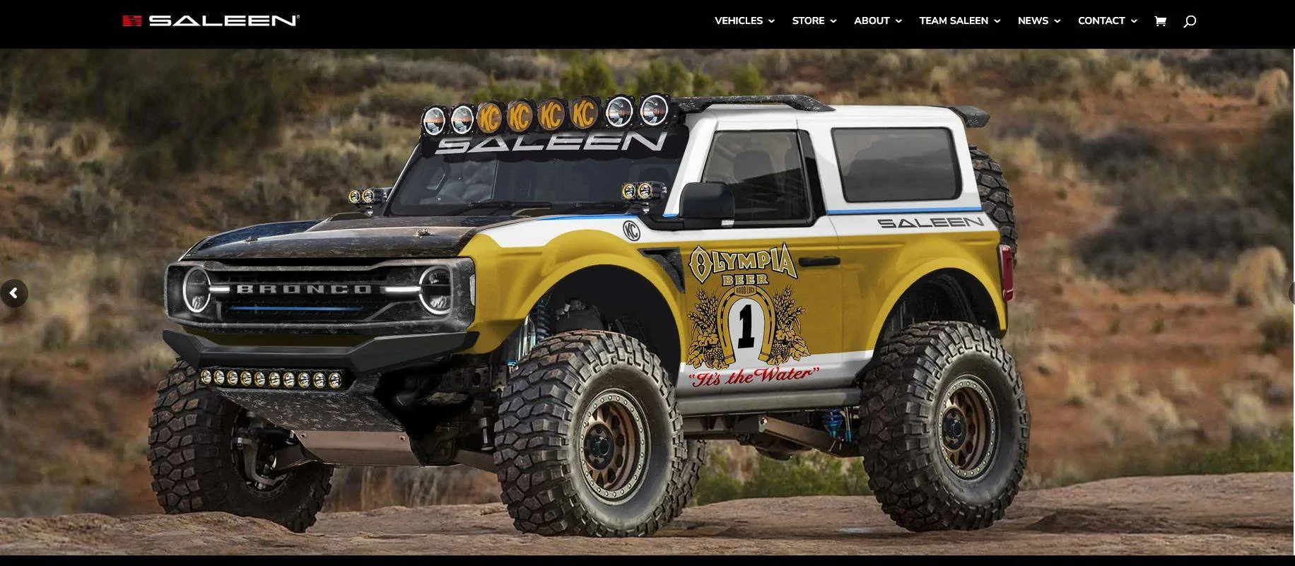 SaleenBronco.jpg