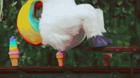 m%2Fwp-content%2Fuploads%2F2021%2F07%2Fpoop-gif-16.gif