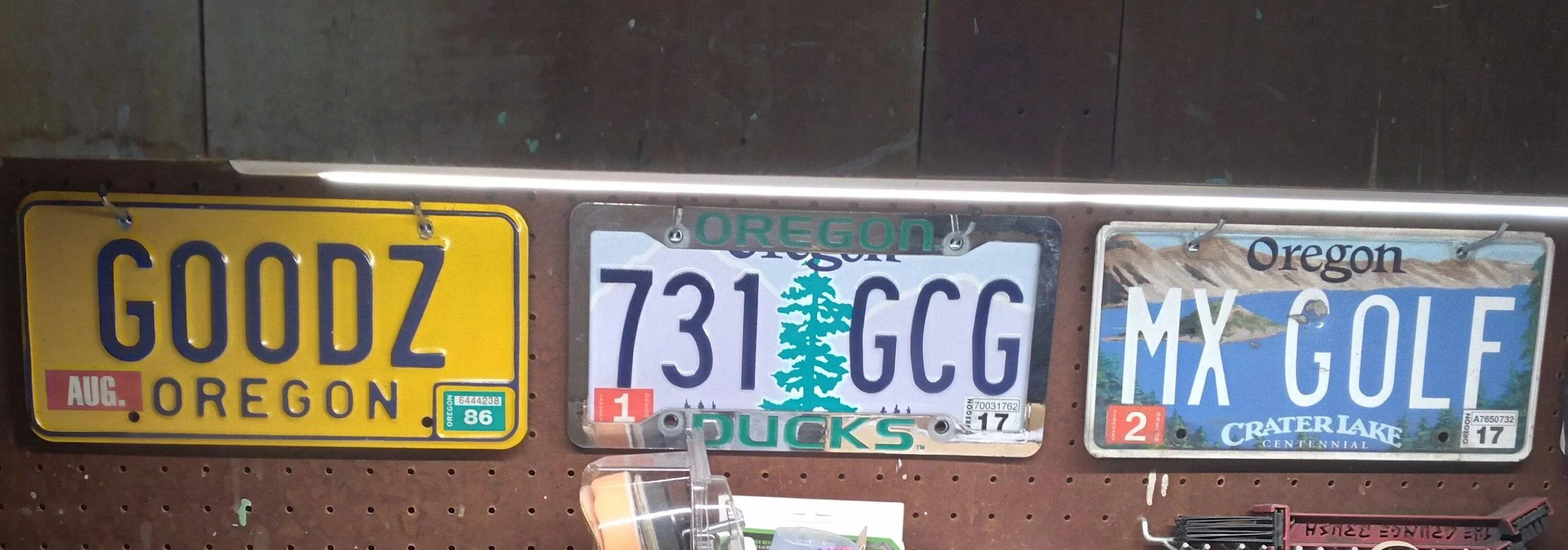 License plates.webp